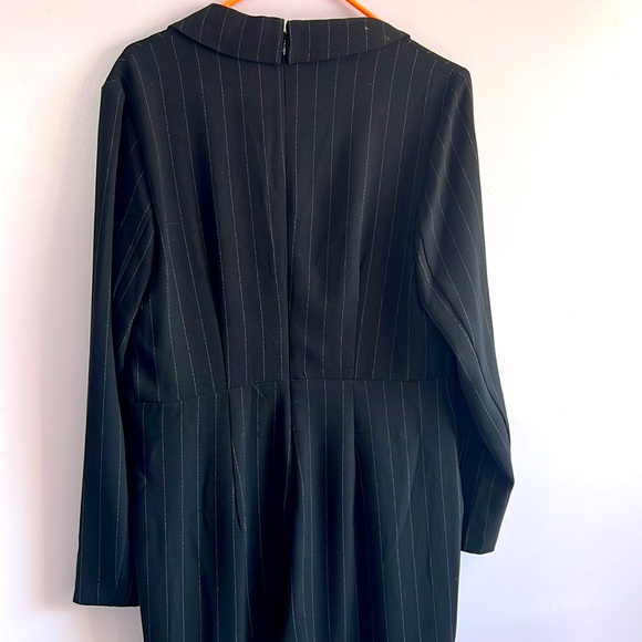 Express Pin Striped Jump Suit - Picture 6 of 6